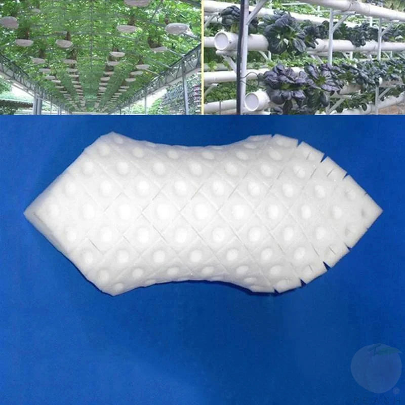 300Pcnew Seedling Sponge Soilless Hydroponic Cloning Garden Seedlings Plant Square Growth Hydroponics Cube Foam Sponge Potstrays