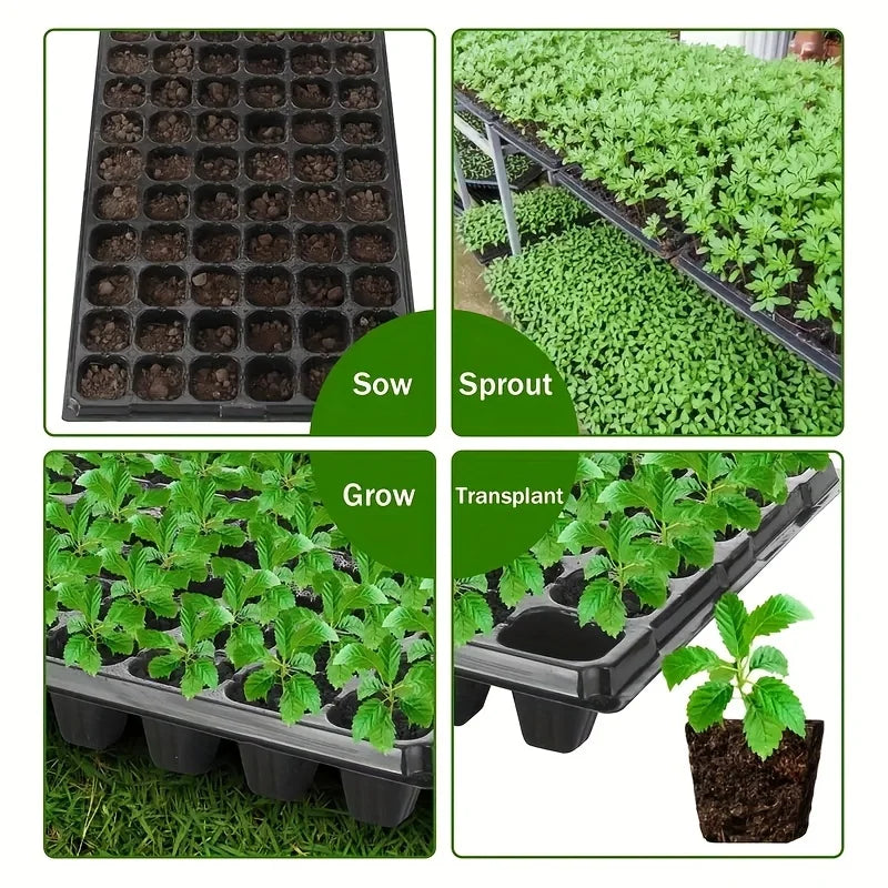 10, Nursery Tray, Greenhouse Germination and Growth Tray, Courtyard, Lawn, Gardening, Planting Nursery, Agricultural Plant Germi