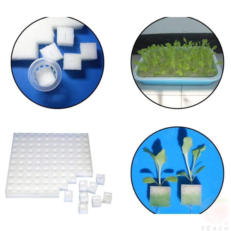 300Pcnew Seedling Sponge Soilless Hydroponic Cloning Garden Seedlings Plant Square Growth Hydroponics Cube Foam Sponge Potstrays