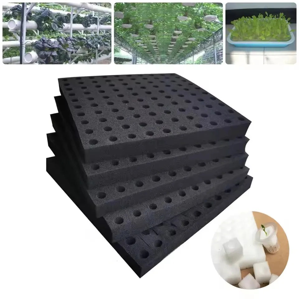 300Pcnew Seedling Sponge Soilless Hydroponic Cloning Garden Seedlings Plant Square Growth Hydroponics Cube Foam Sponge Potstrays